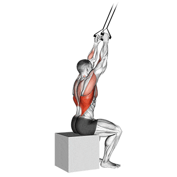 Band close-grip pulldown gif