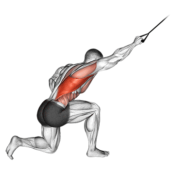 Band kneeling one arm pulldown gif