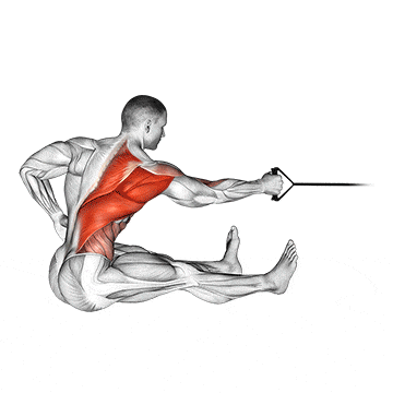 Band one arm twisting seated row gif