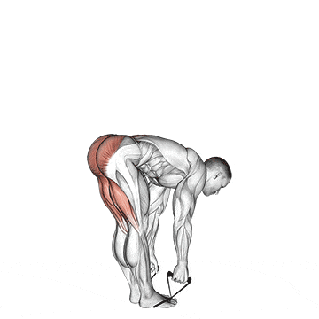 Band straight leg deadlift gif