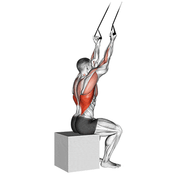 Band underhand pulldown gif