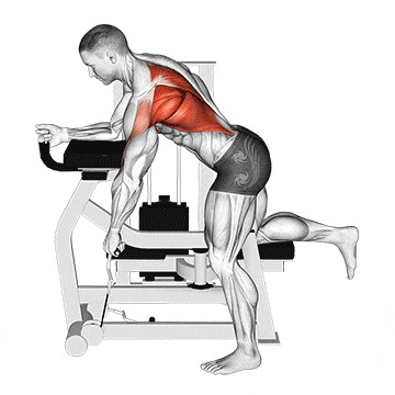 Lever unilateral row gif