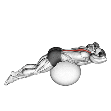 Back extension on exercise ball gif