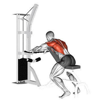 Cable incline bench row gif
