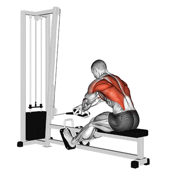 Cable rope crossover seated row gif