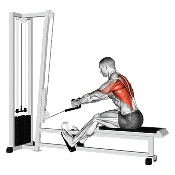 Cable rope elevated seated row gif