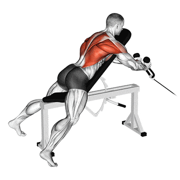 Cable rope extension incline bench row gif