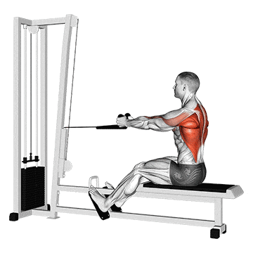 Cable rope seated row gif