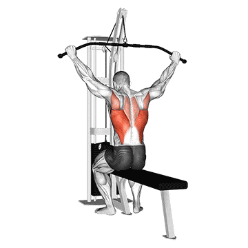 Cable wide grip rear pulldown behind neck gif