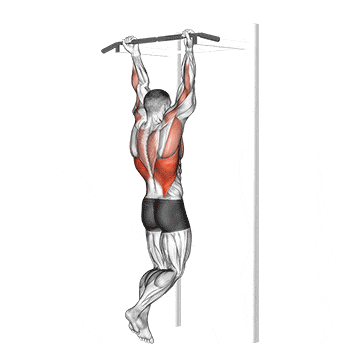 Chin-up gif