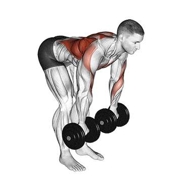 Dumbbell palm rotational bent over row gif