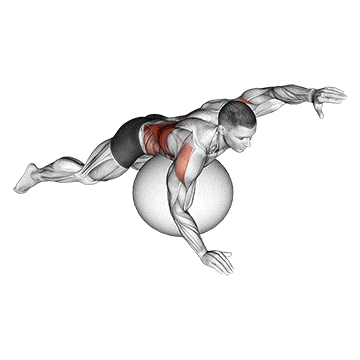 Exercise ball alternating arm ups gif
