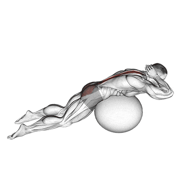 Exercise ball back extension with hands behind head gif