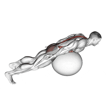 Exercise ball back extension with rotation gif