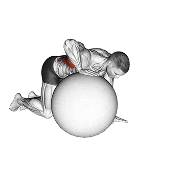 Exercise ball lat stretch gif