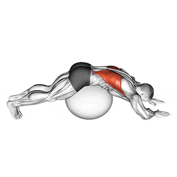 Exercise ball lower back stretch (pyramid) gif