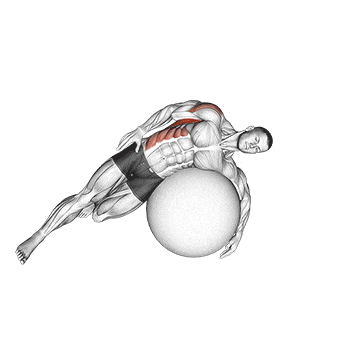 Exercise ball lying side lat stretch gif