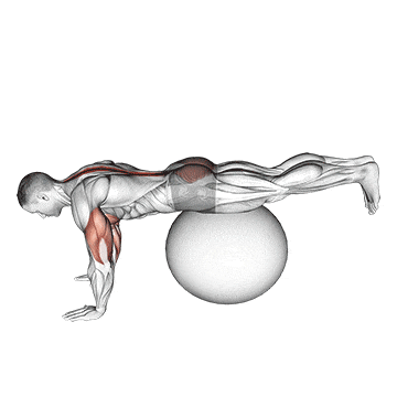 Exercise ball prone leg raise gif