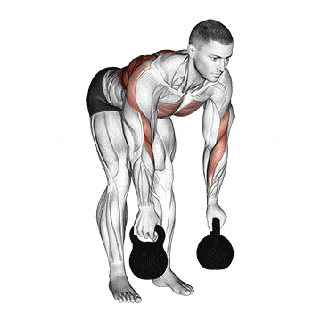Kettlebell two arm row gif