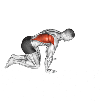 Kneeling lat stretch gif