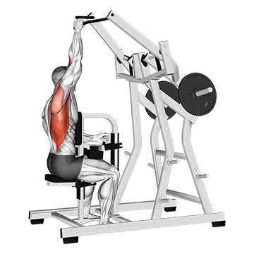 Lever one arm lateral wide pulldown  gif