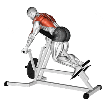 Lever reverse t-bar row gif