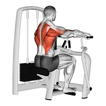 Lever seated row gif