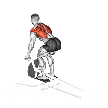 Lever t-bar reverse grip row gif