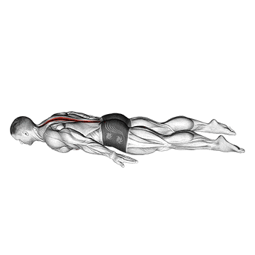 Lower back curl gif