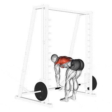 Smith bent over row gif