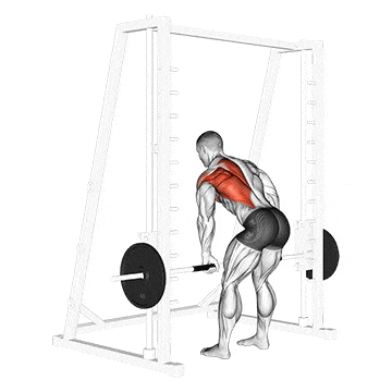 Smith one arm row gif
