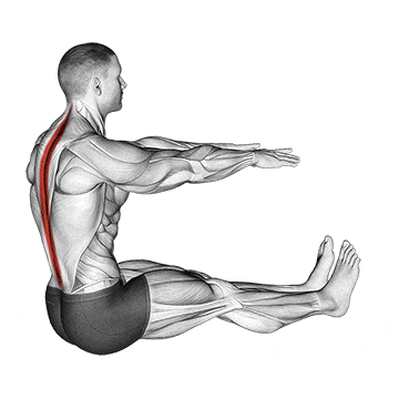 Spine stretch gif