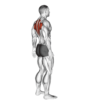 Upper back stretch gif