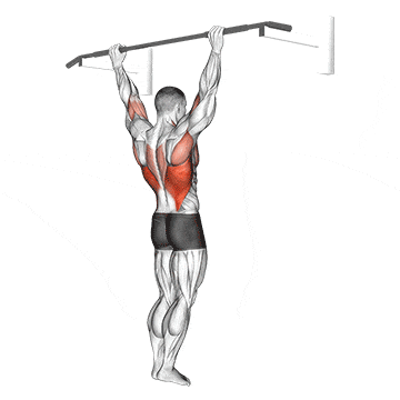 Wide grip rear pull-up gif