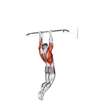 Muscle-up (on vertical bar) gif