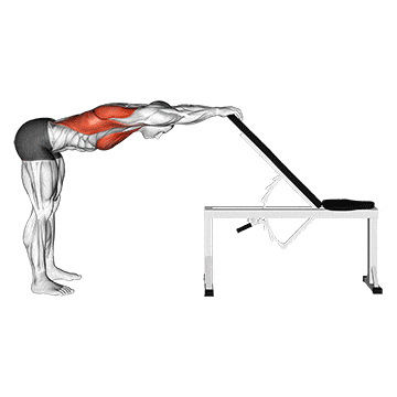 Back pec stretch gif