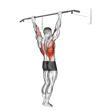 Wide grip pull-up gif