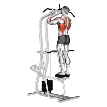 Assisted standing chin-up gif