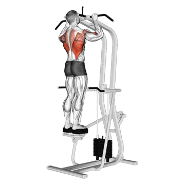 Assisted standing pull-up gif