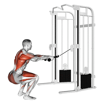 Cable squat row (with rope attachment) gif