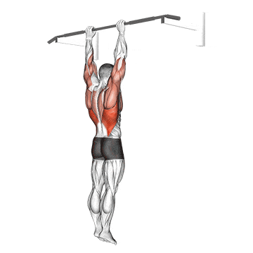 Shoulder grip pull-up gif