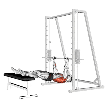 Inverted row on bench gif