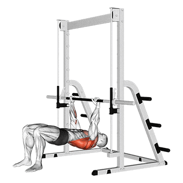 Inverted row bent knees gif
