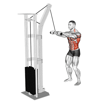 Cable thibaudeau kayak row gif