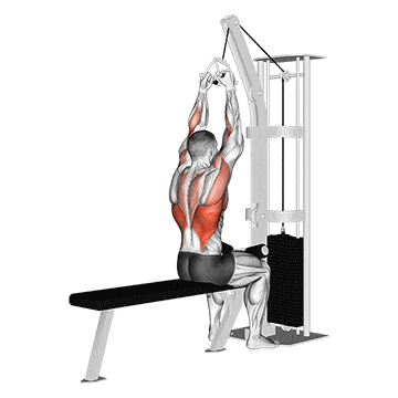 Cable lateral pulldown with v-bar gif