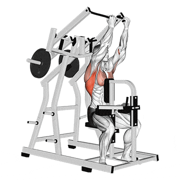 Lever reverse grip lateral pulldown  gif