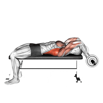 Ez bar lying bent arms pullover gif