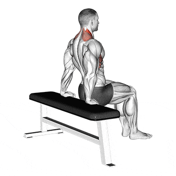 Scapula dips gif