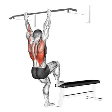 Bench pull-ups gif