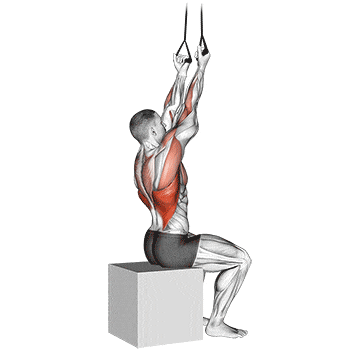 Band fixed back underhand pulldown gif